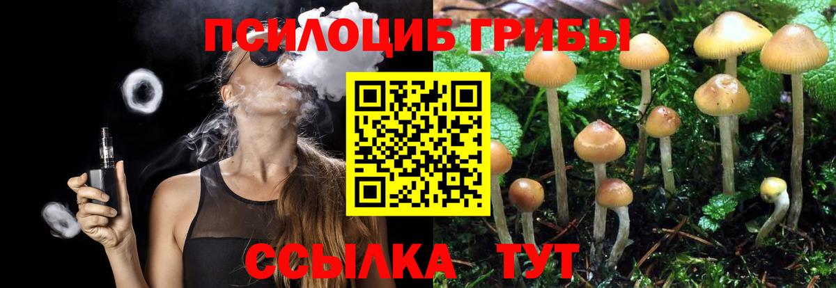 Псилоцибиновые грибы ЛСД Надым